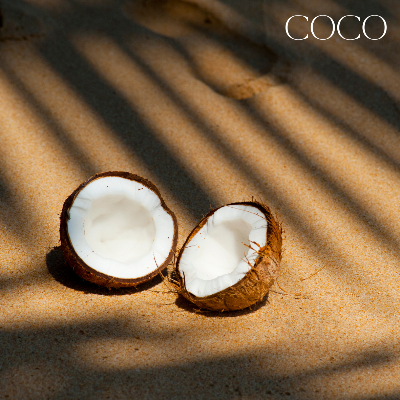 Fresh Tomorrows - Anne of Green Gables