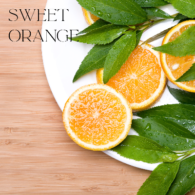 Fresh Tomorrows - Anne of Green Gables